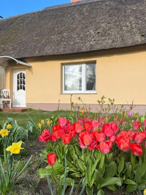 Urlauben Unterm Reetdach Apartment