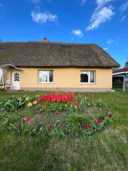 Urlauben Unterm Reetdach Apartamento